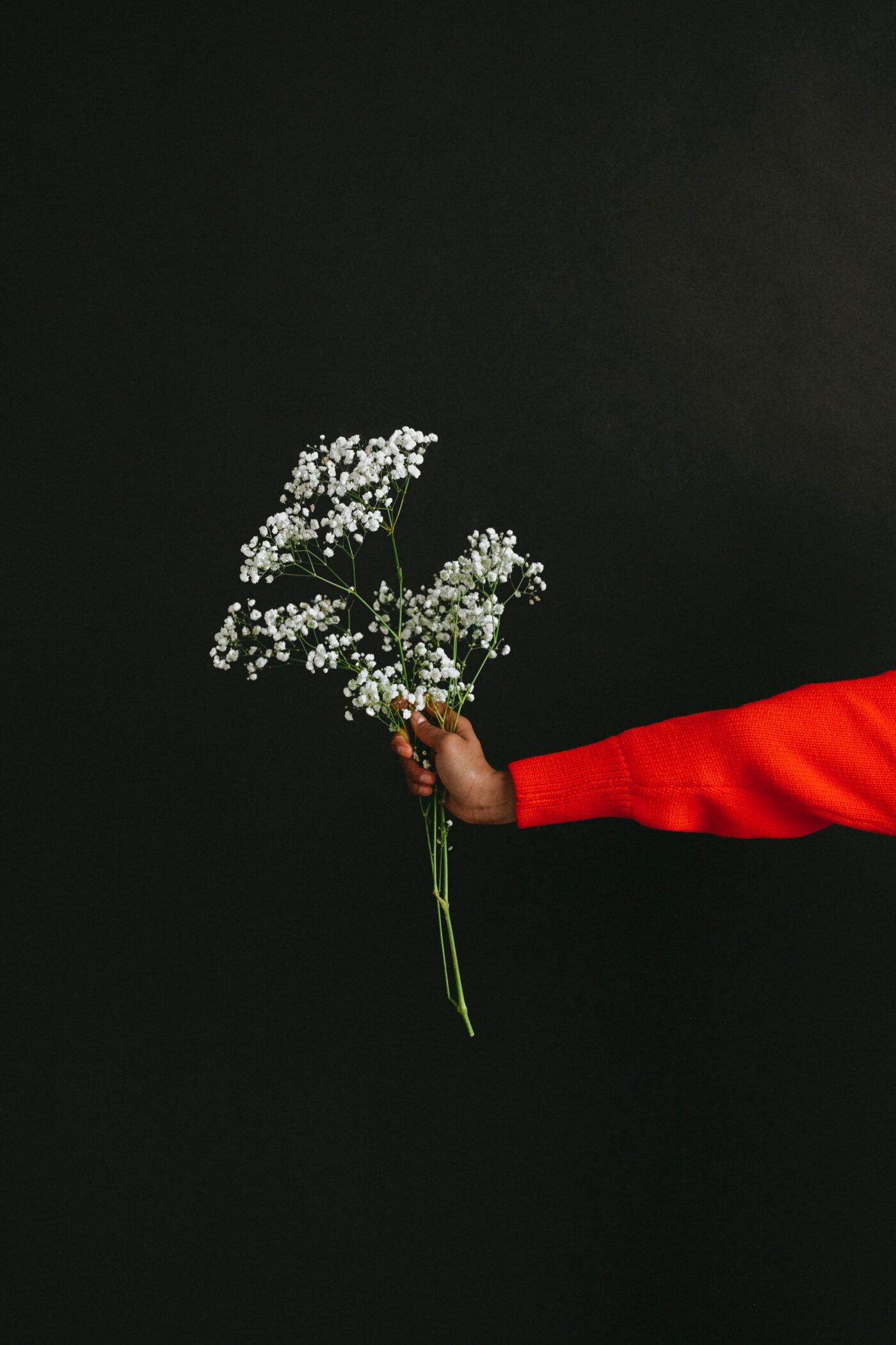 ordinare fiori a domicilio