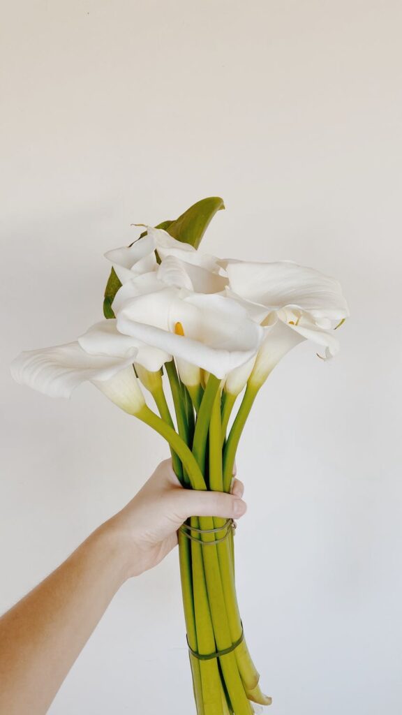 fiorista inzago - calla